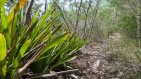 Bordeaux Mountain Trail